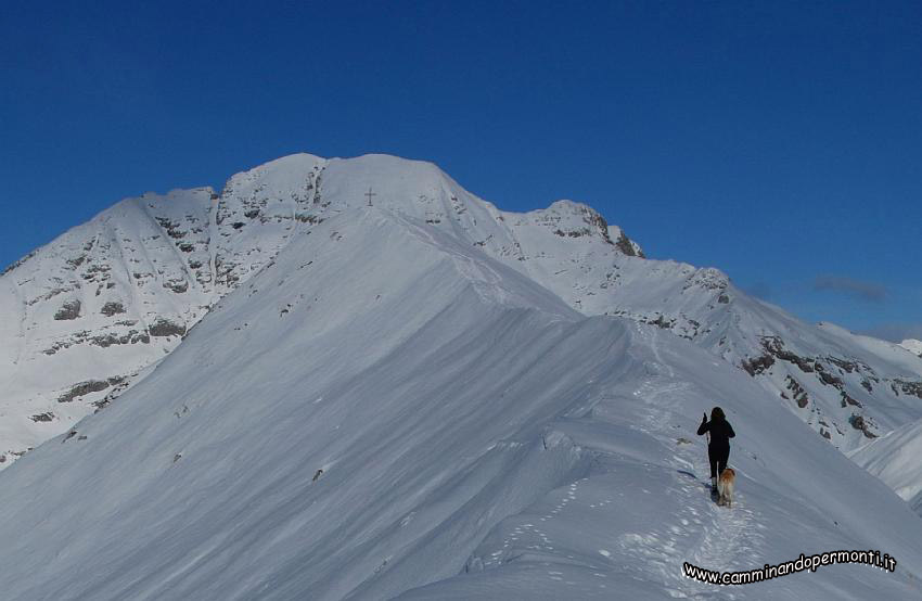 09 14295 Verso la Vetta.jpg
